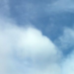 Meet your Posher, Elise